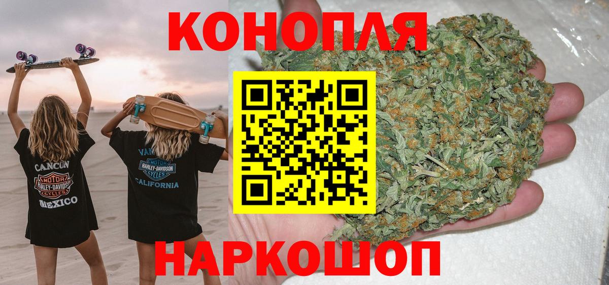 Конопля марихуана Мурино